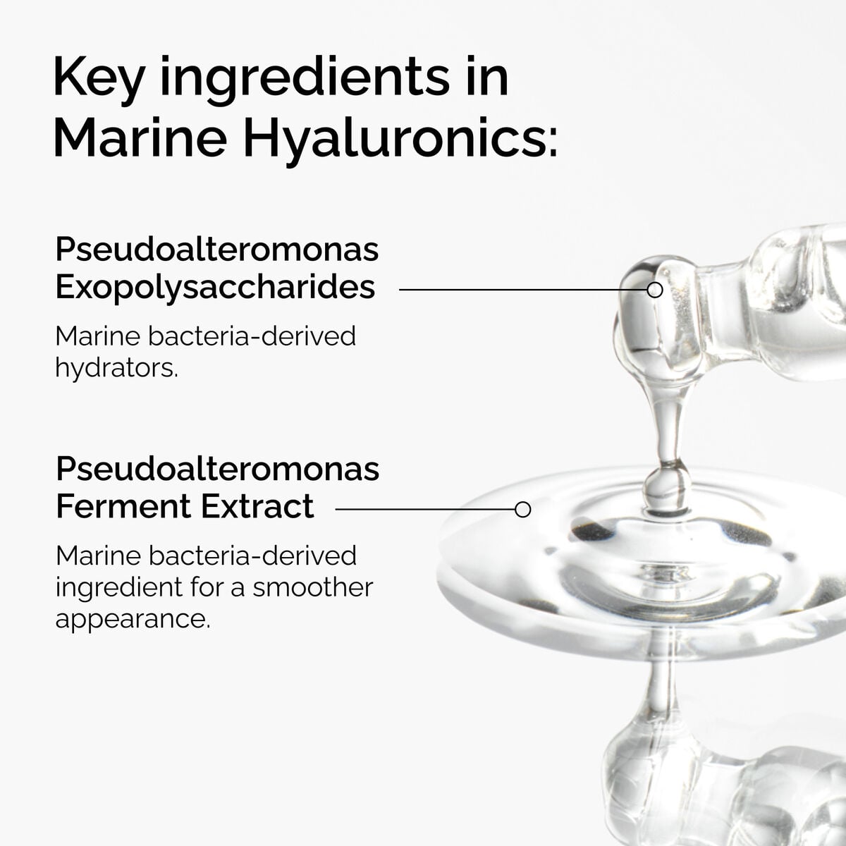 marine-hyaluronics-v0 FY25-D41247-ORD-Web-PDP-Marine-Hya-1x1-EN-2a.jpg